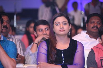 Dikkulu Choodaku Ramayya Movie Audio Launch